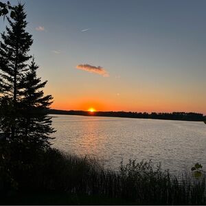 Meet your Posher, Jo-ann